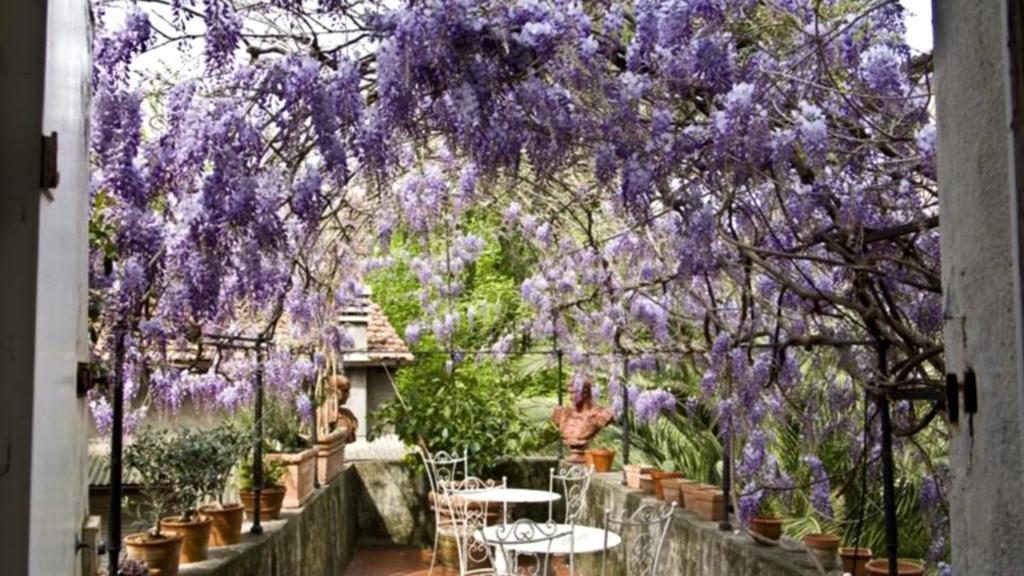 Locanda Sant' Agostino Lucca Bagian luar foto